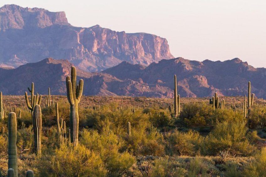 Self Guided Driving Audio Tour of Saguaro National Park 4
