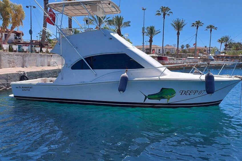A white yacht named 'DEEP 07' with a green fish decal, docked at a marina with palm trees and buildings in the background. 1