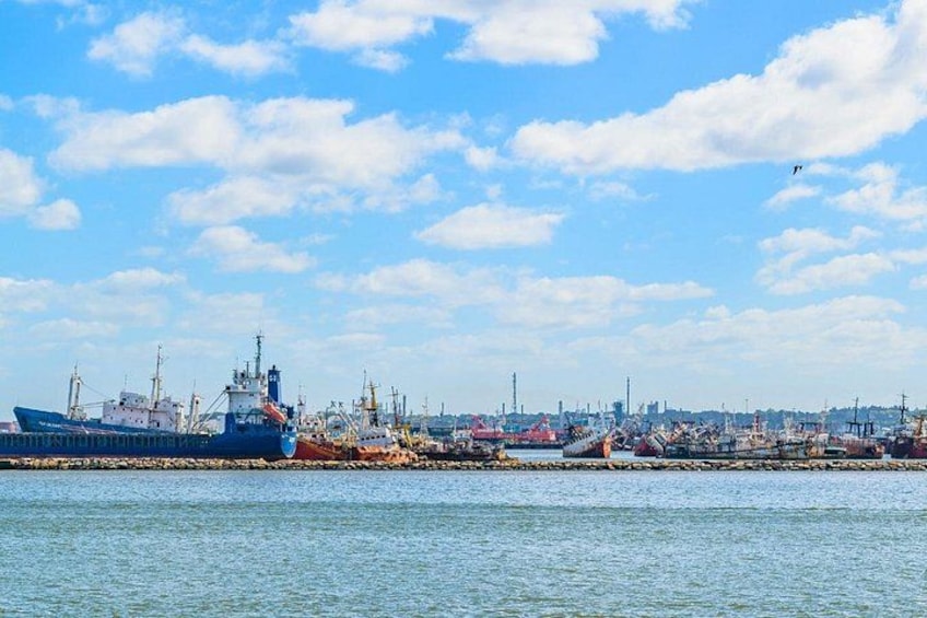 Montevideo Highlights: Shared City Tour for Cruise Passengers 4