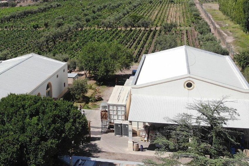 2 Days of Warehouses in Mendoza with Lunch and Private Driver. 2