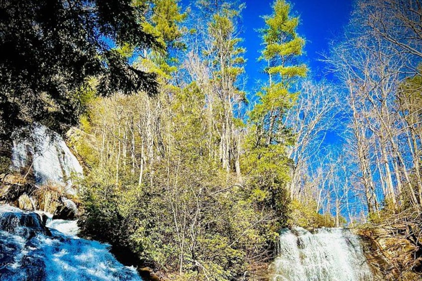 Un bosque con una cascada, árboles y un cielo azul despejado. 2