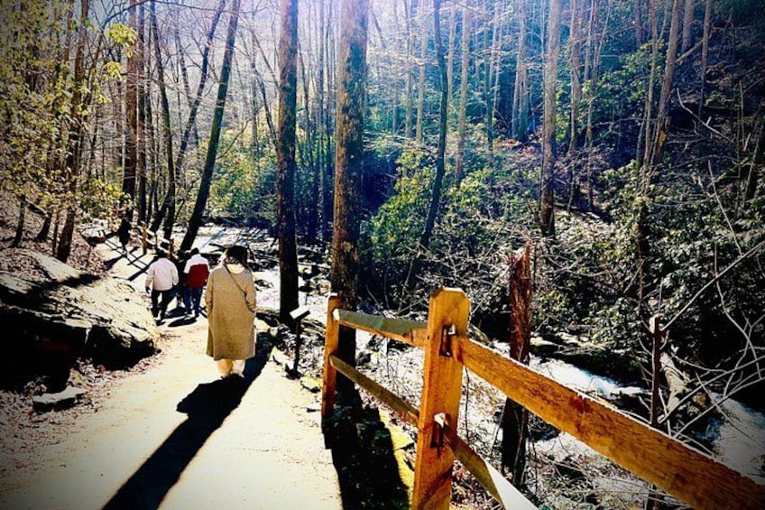 Sendero boscoso para excursionismo con barandillas y un puente de madera. 4