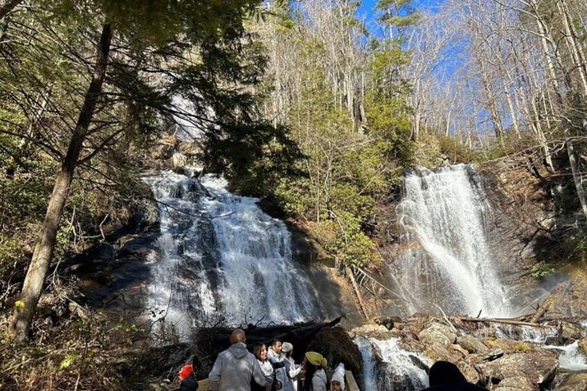 Una cascada rodeada de árboles. 3