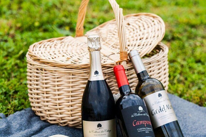 Verona E-Bike&Picnic 1