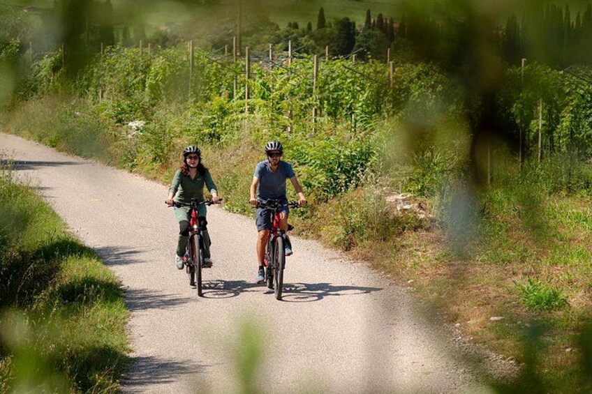 Verona E-Bike&Picnic 2