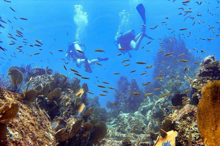 Kauai Scuba Diving for Beginners 4
