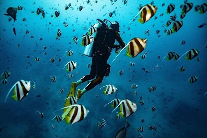 Kauai Scuba Diving for Beginners 1