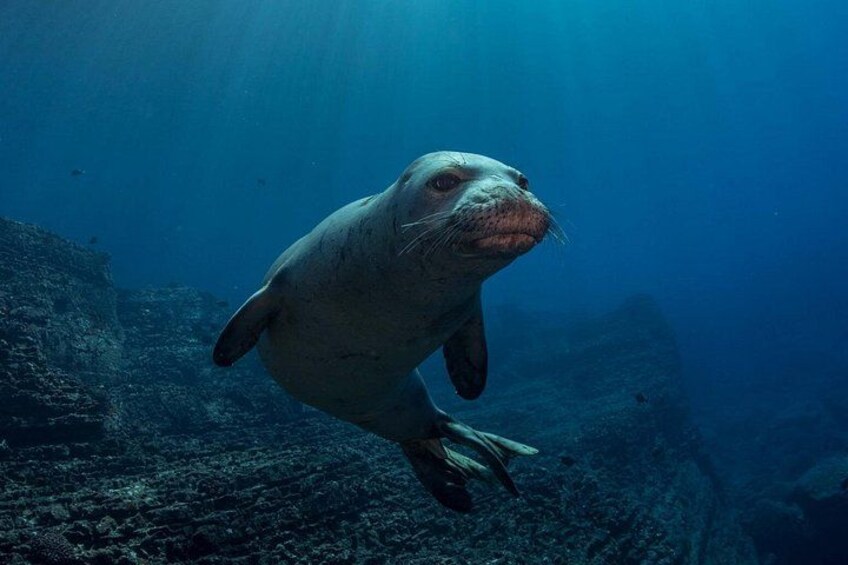Kauai Scuba Diving for Beginners 2