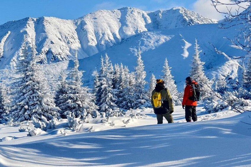 Twee mensen wandelen in een besneewd berglandschap, met sneeuw bedekte bomen en een heldere lucht. 5