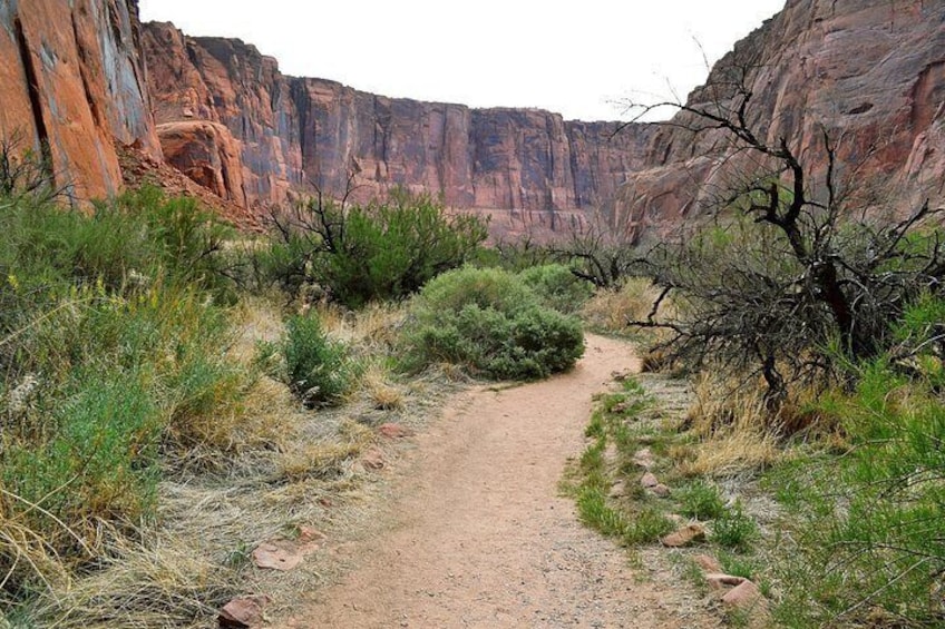 Horseshoe Bend Float Trip in Page 3
