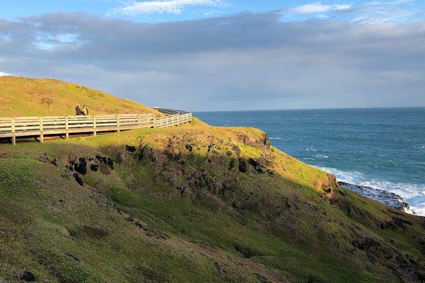 Phillip Island Penguins Private Adventure 2