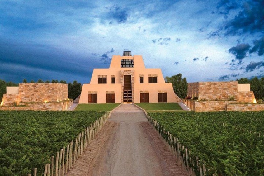 Winery The Enemy + Zapata Angelic Lunch. Private transportation 3