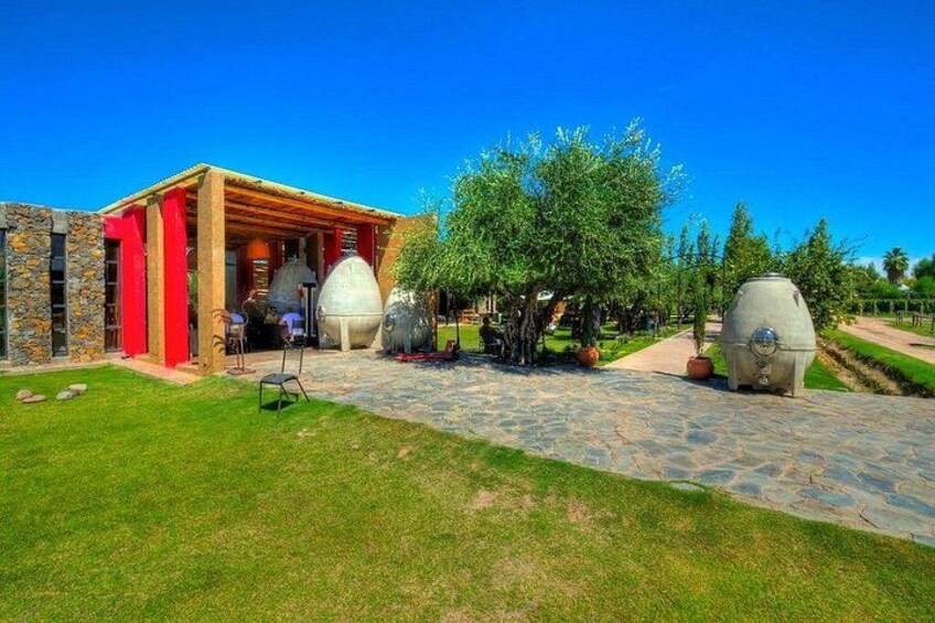 Catena Zapata Winery, Lunch and Private Transportation 3