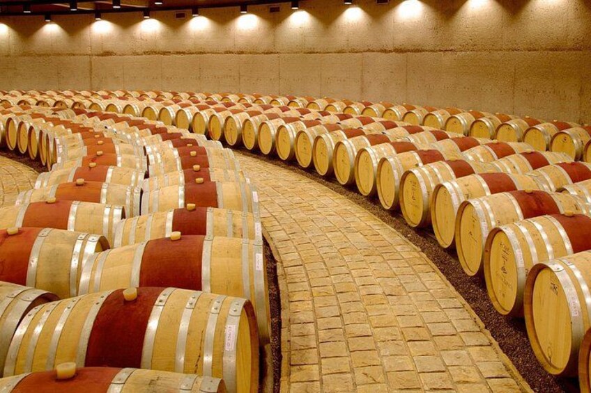 Catena Zapata Winery, Lunch and Private Transportation 4
