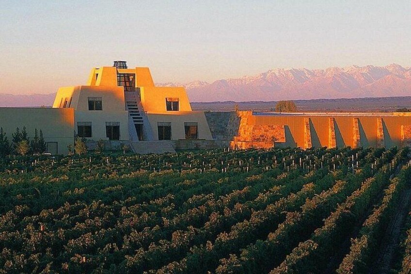 Catena Zapata Winery, Lunch and Private Transportation 5