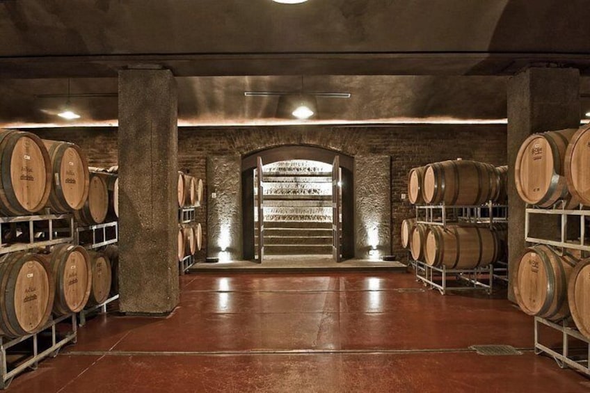3 Bodegas Domiciano, Vistandes and Villafane with Private Transport 4