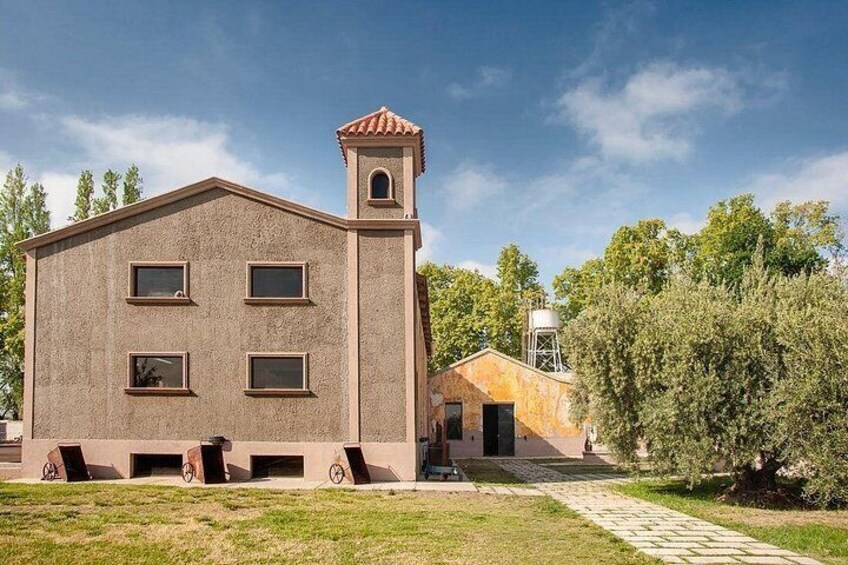3 Bodegas Domiciano, Vistandes and Villafane with Private Transport 3
