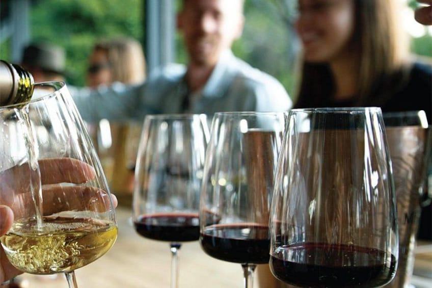 3 Bodegas Domiciano, Vistandes and Villafane with Private Transport 3