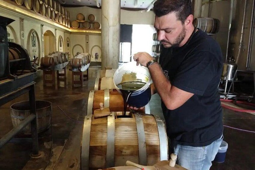 3 Bodegas Domiciano, Vistandes and Villafane with Private Transport 2