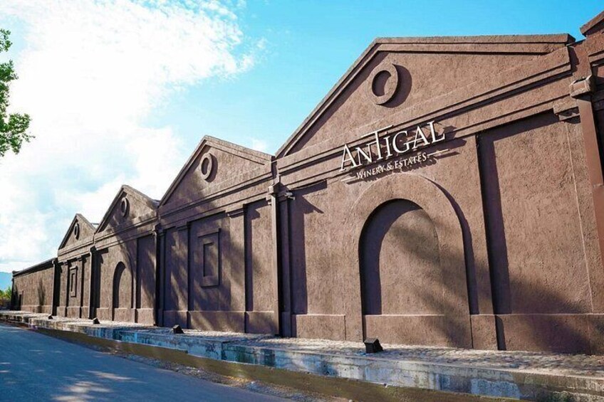 3 Bodegas Domiciano, Vistandes and Villafane with Private Transport 5