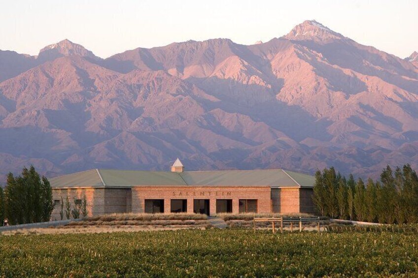 A building named SALENTINE with a green roof, surrounded by a field and mountains in the background. 1