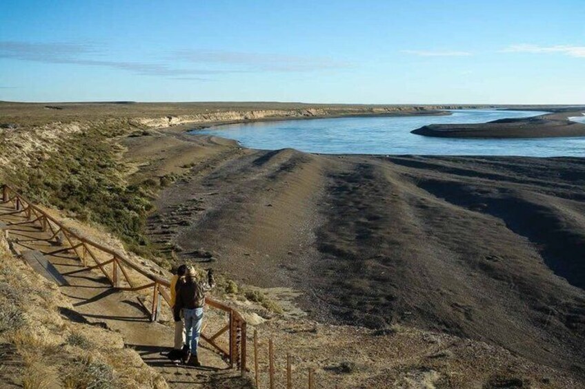 En person står på en trætrap og ser ud over et kystlandskab med vand og sand. 5