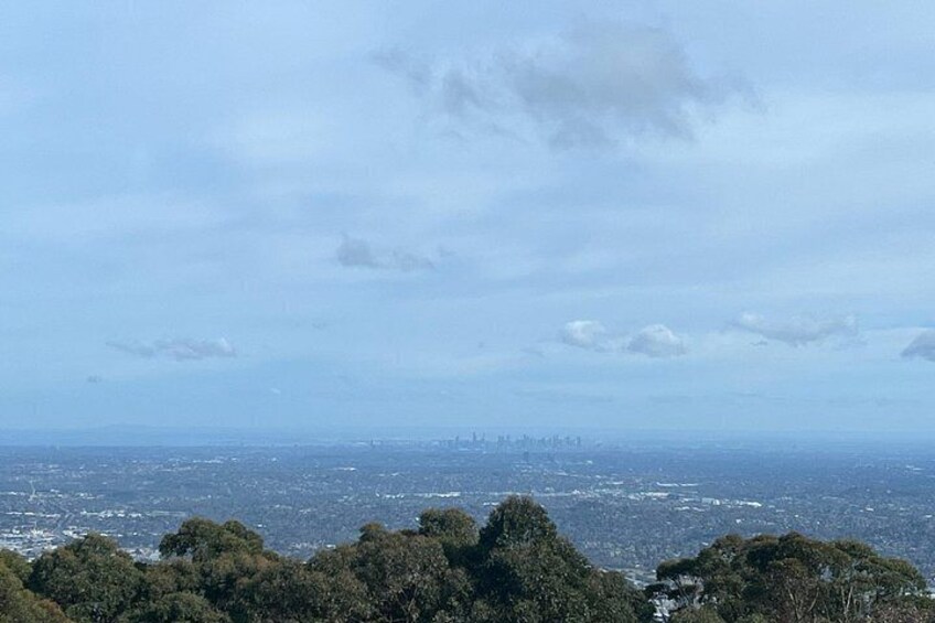 Private Yarra Valley And Puffing Billy Tour 2