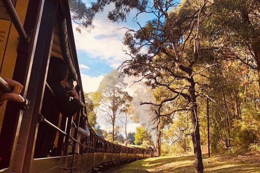 Private Yarra Valley And Puffing Billy Tour 1