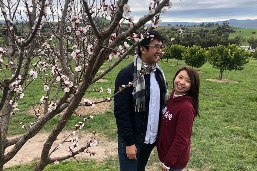 Private Yarra Valley And Puffing Billy Tour 2