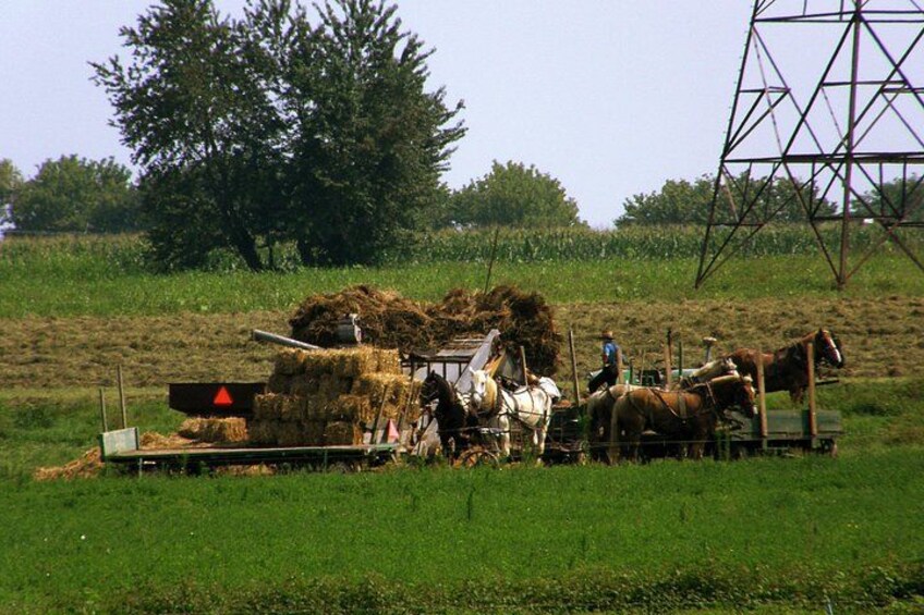 Meal in an Amish Home Experience 2