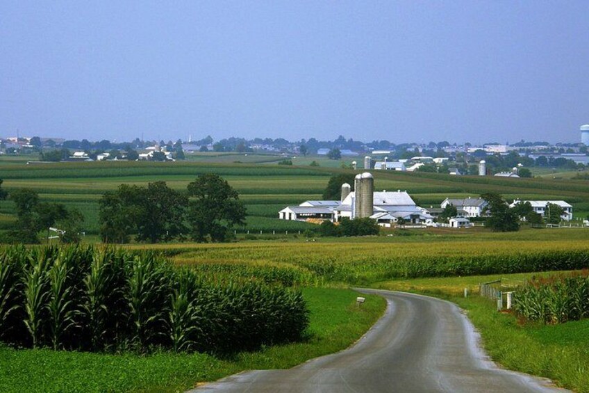 Meal in an Amish Home Experience 2