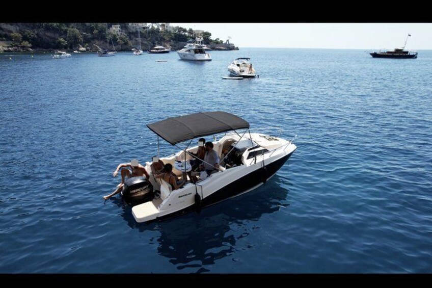 A white motorboat with a black canopy on the water, surrounded by other boats and a coastline in the background. 3