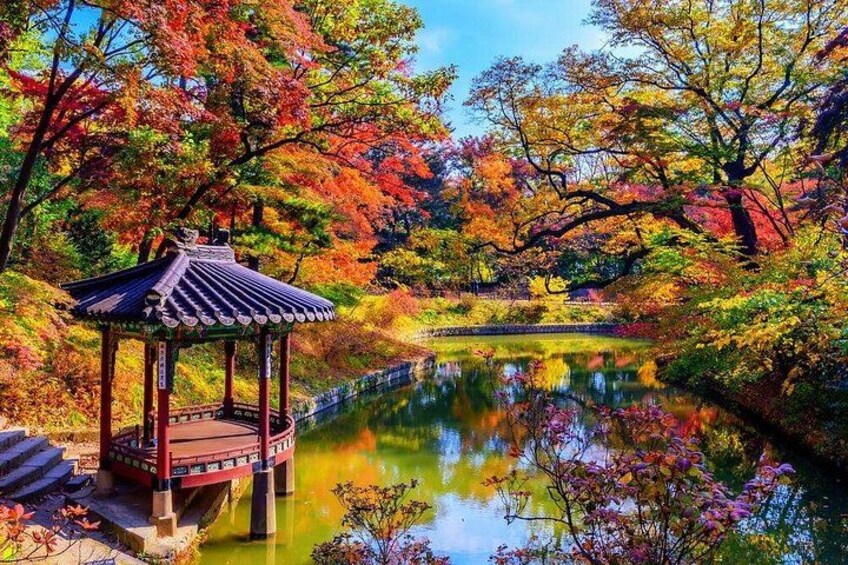 Private Unesco Tour in Seoul with Guide 2