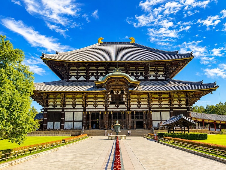 From Osaka/Kyoto: Kyoto & Nara Day Trip with Optional Lunch 2