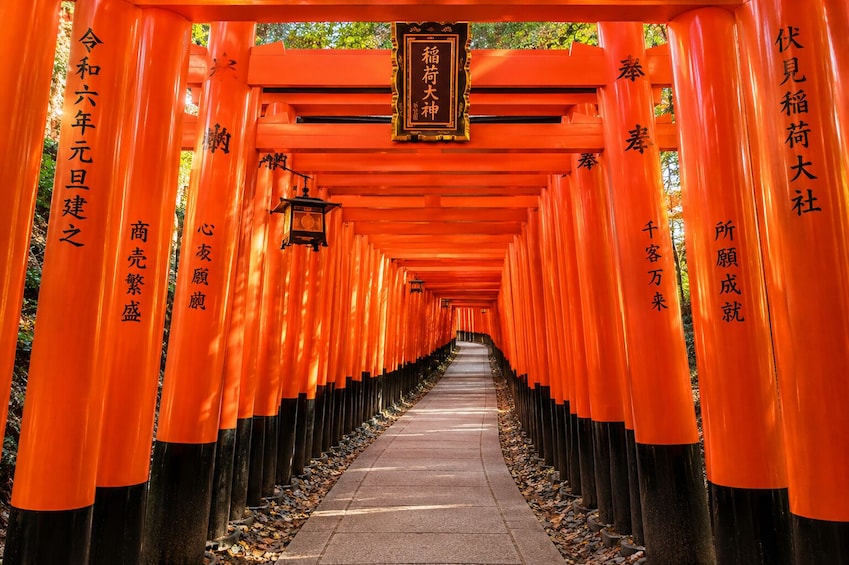 From Osaka/Kyoto: Kyoto & Nara Day Trip with Optional Lunch 5