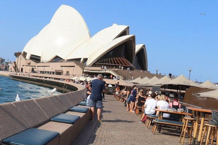 Private Luxury Half Day Sydney City Tour 1
