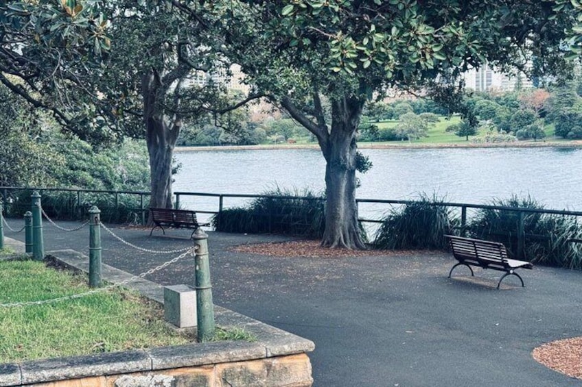 Private Luxury Half Day Sydney City Tour 4
