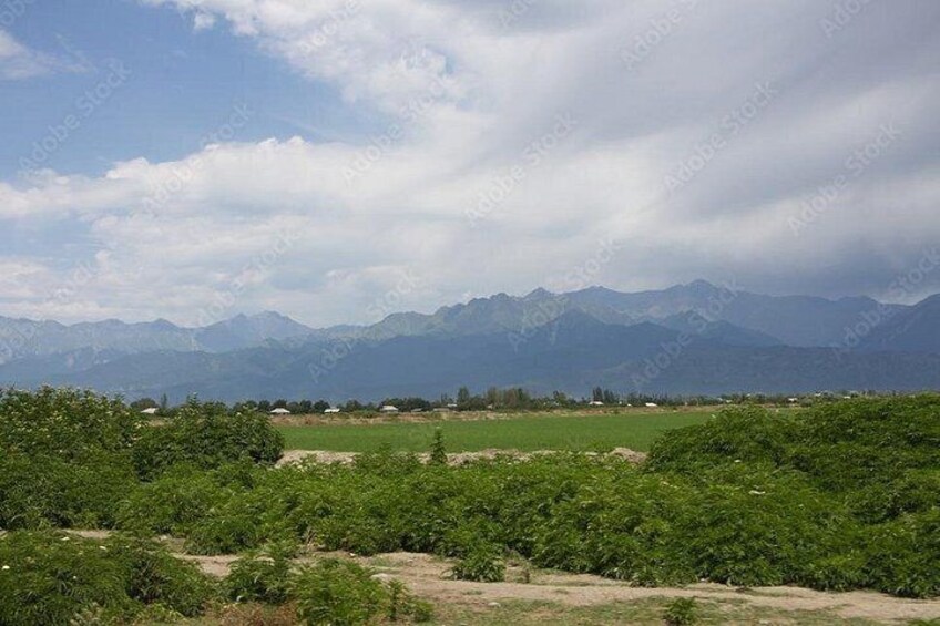 A mountainous landscape with green fields and scattered trees. 2