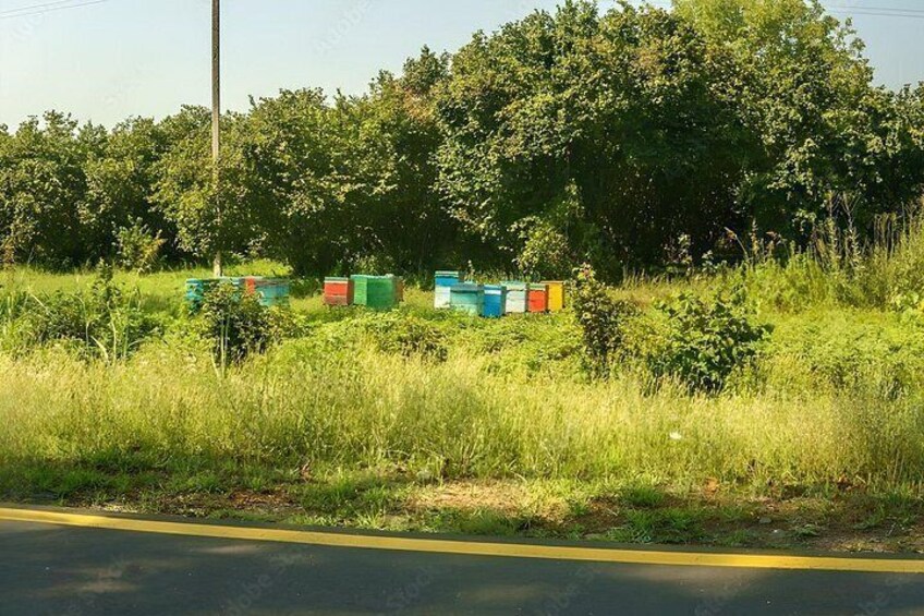 A road with a grassy area and colorful containers on the side. 5