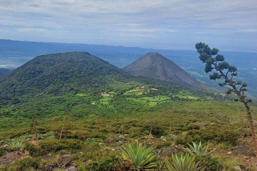 Santa Ana Volcano Hike & Lunch at Coatepeque Lake (Private Tour) 5