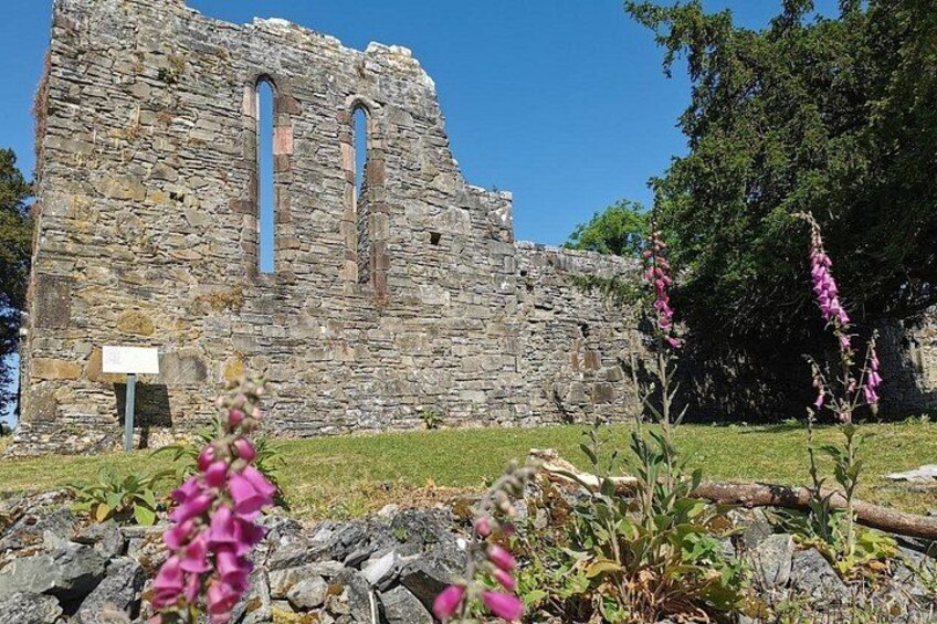 Lakes of Killarney and Innisfallen Island Tour 5