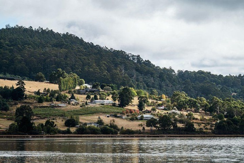 Hastings Caves, Tahune Airwalk and the Huon Tasting Trail 3