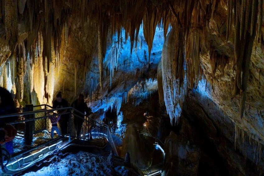 Hastings Caves, Tahune Airwalk and the Huon Tasting Trail 5
