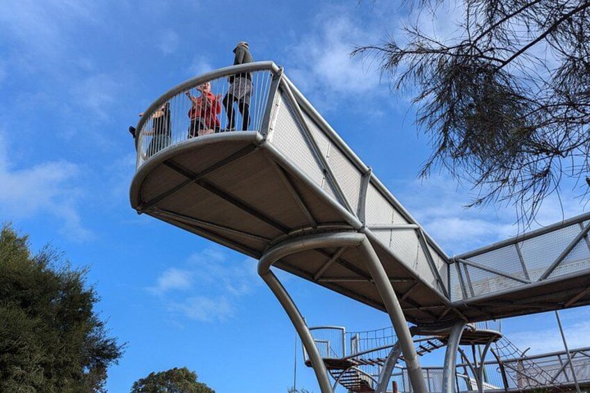 the platform overlooking the mangroves is one of the first stops 1