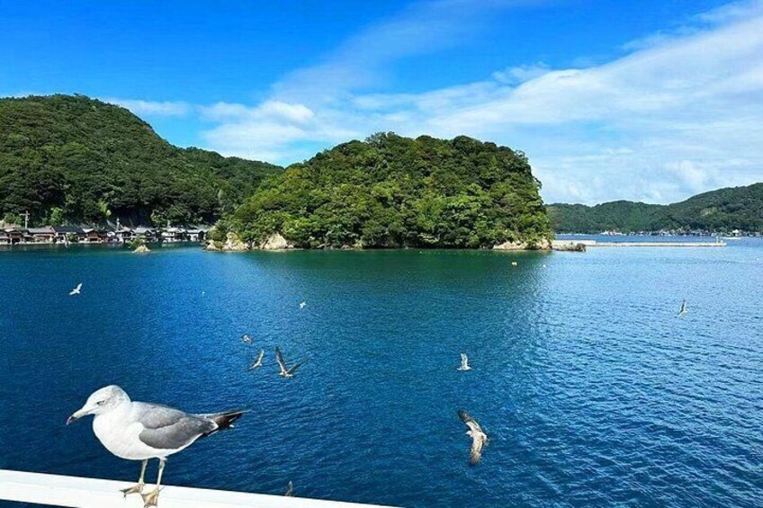 Amanohashidate & Ine Boathouse Full-Day Tour from Kyoto or Osaka 5
