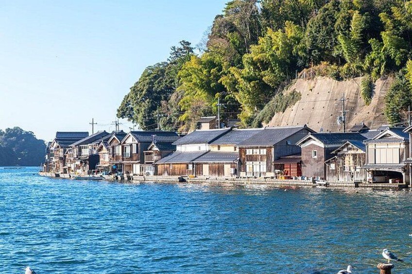 Amanohashidate & Ine Boathouse Full-Day Tour from Kyoto or Osaka 3