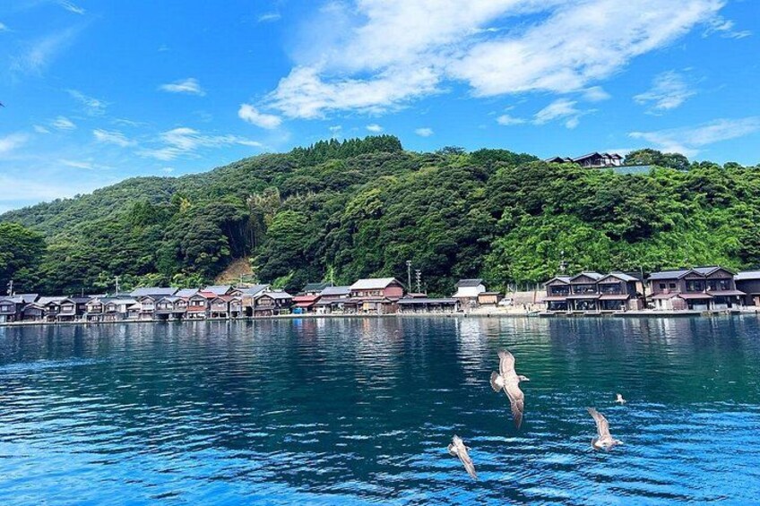 Amanohashidate & Ine Boathouse Full-Day Tour from Kyoto or Osaka 2