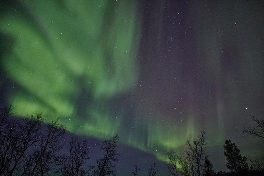 Aurora Tour with Dinner in Abisko 2