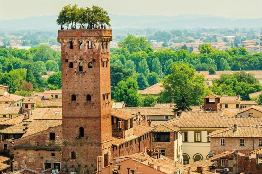 Ein hoher Backsteinturm mit Bäumen auf dem Dach, umgeben von Gebäuden mit Ziegeldächern. 2