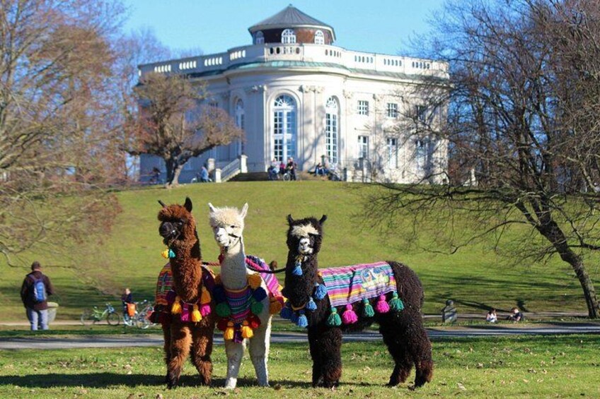 Three llamas on a grassy hill with a large building in the background. 2